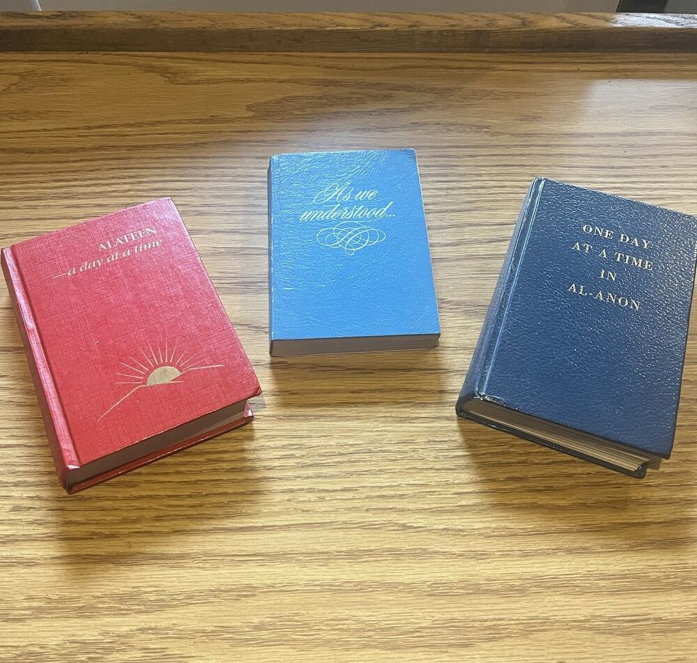 Al-anon Book bundle One Day at a Time in Al-Anon Alateen As We Understood